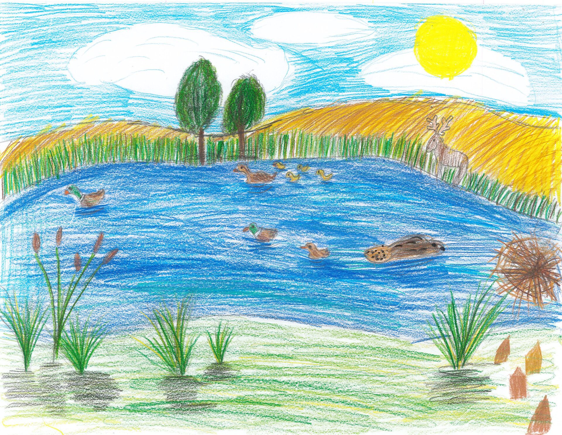 Jayla, Miller School, Melville - Gr. 3