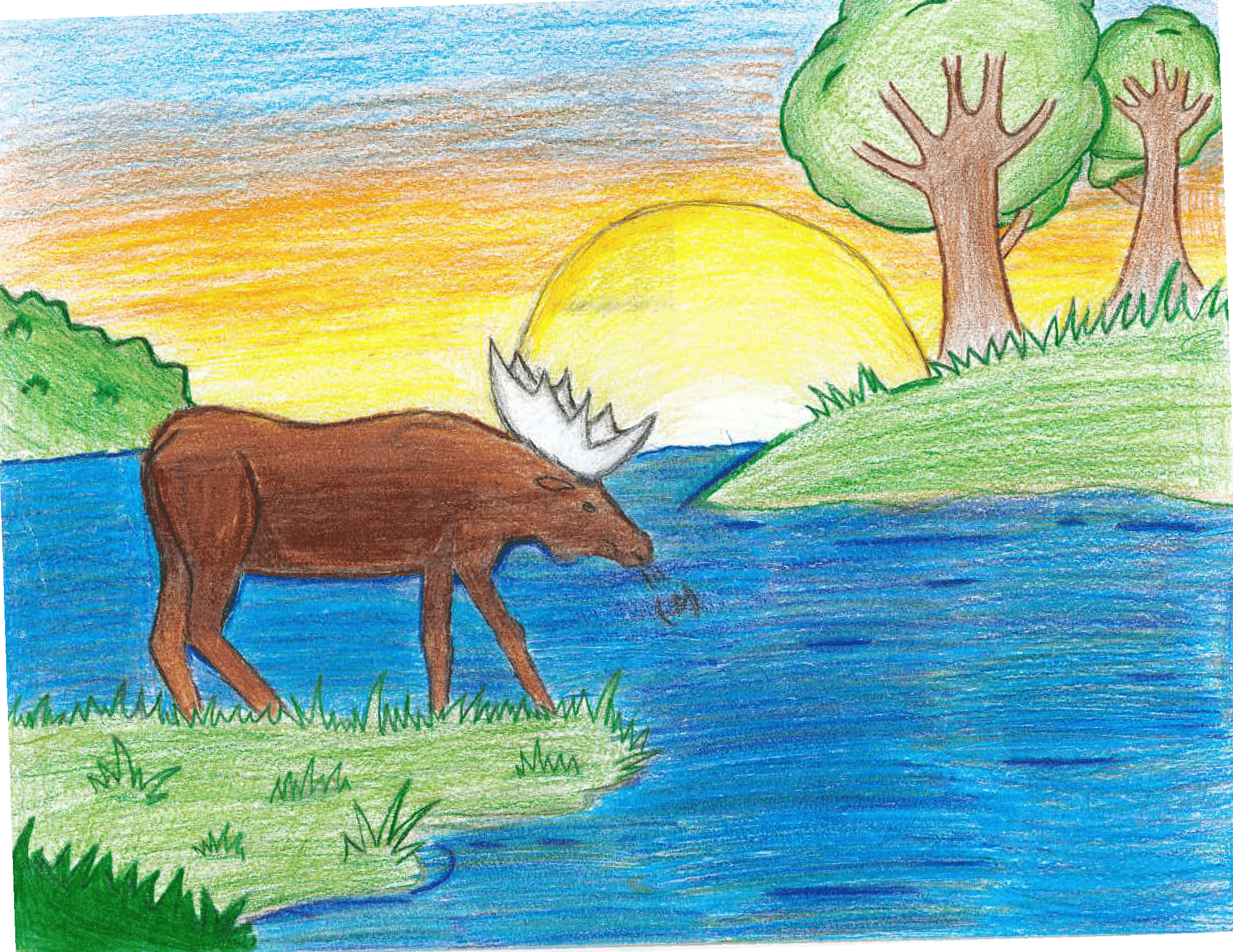 1st Place - Ava - Gr6 - Yorkdale - 2025_rotated-1