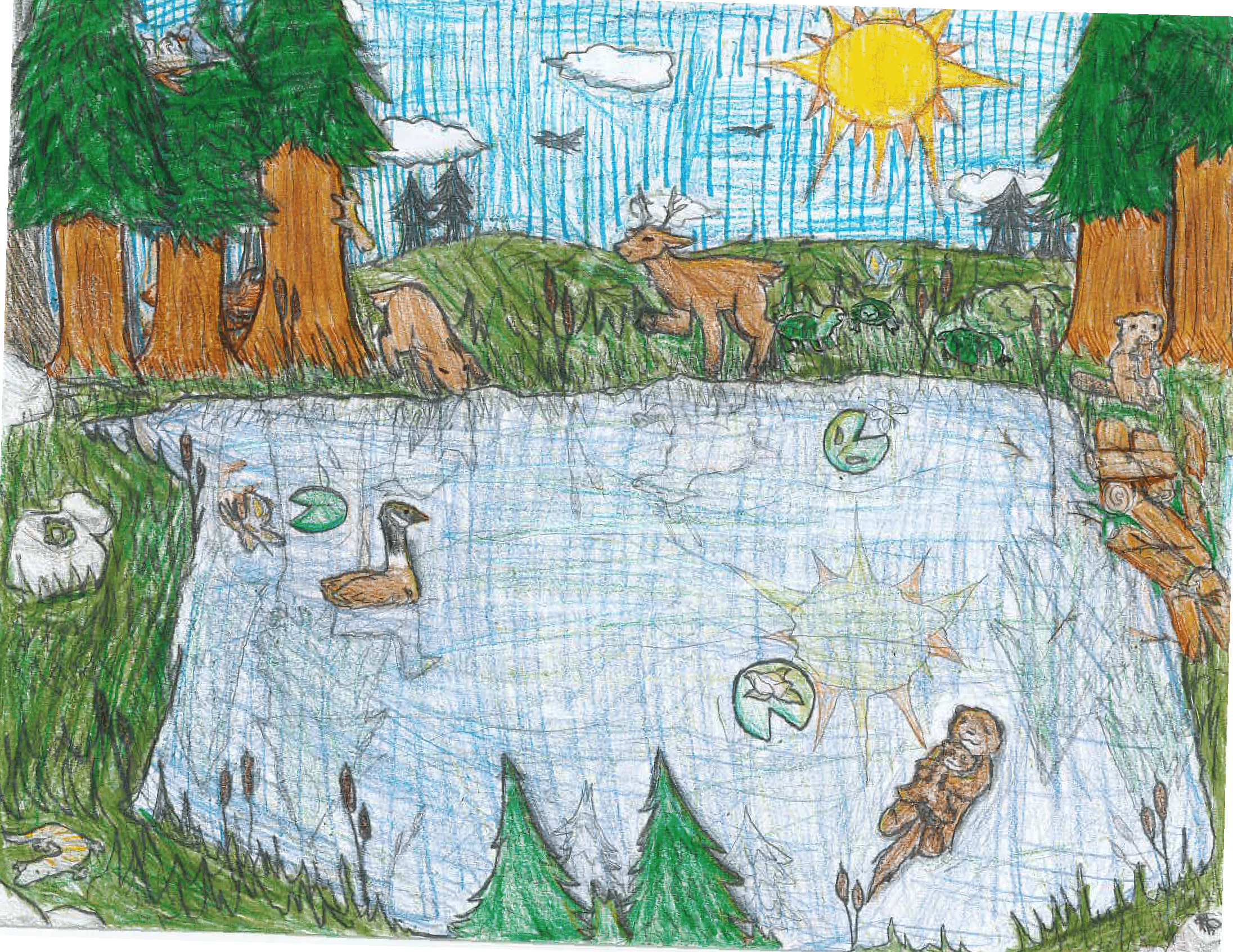 2nd Place - Bianca - Gr6 - StMichaels - 2025_rotated-1