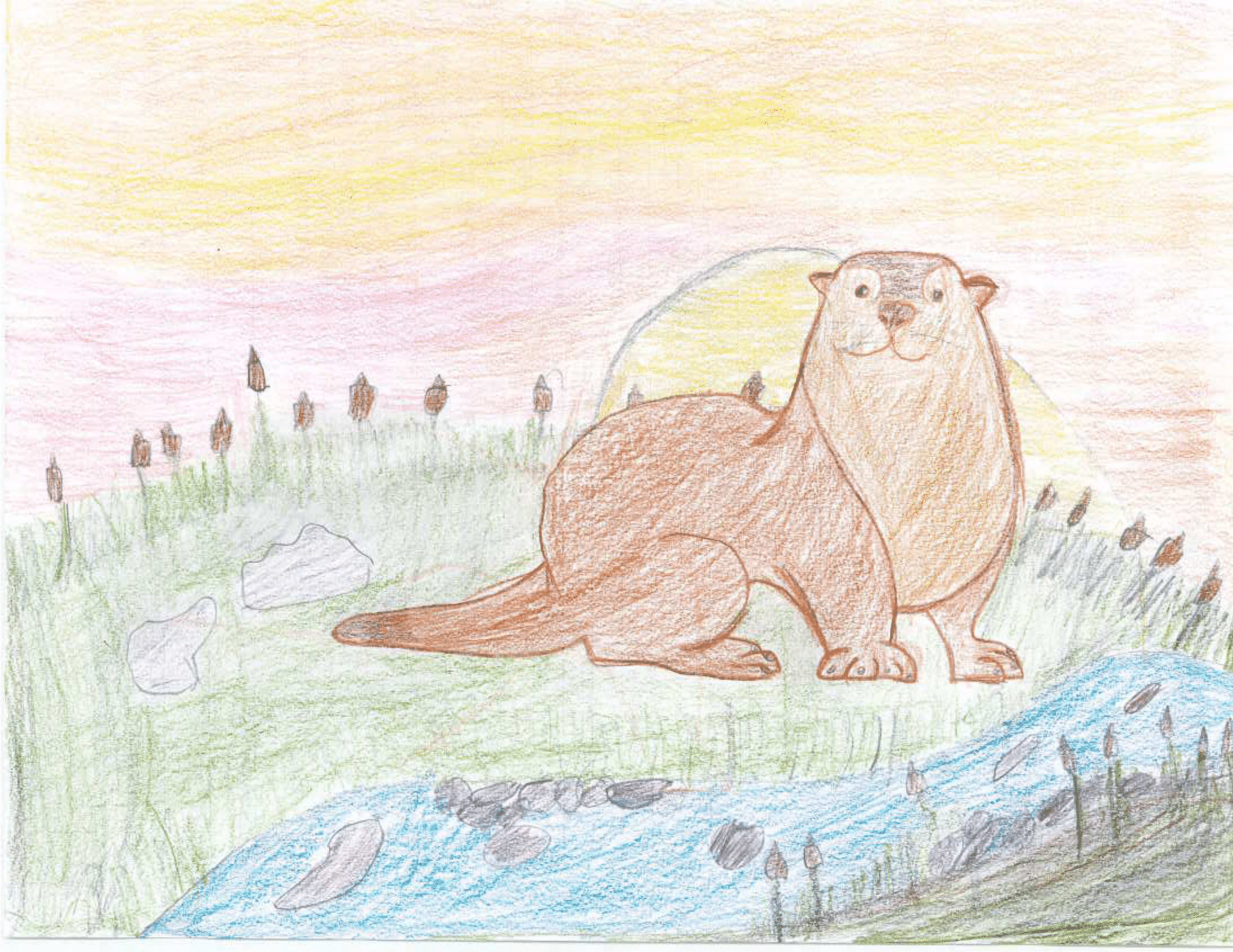 3rd Place - Luke - Gr4 - Preeceville - 2025-1